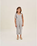 Shimmery Stripes Jumpsuit