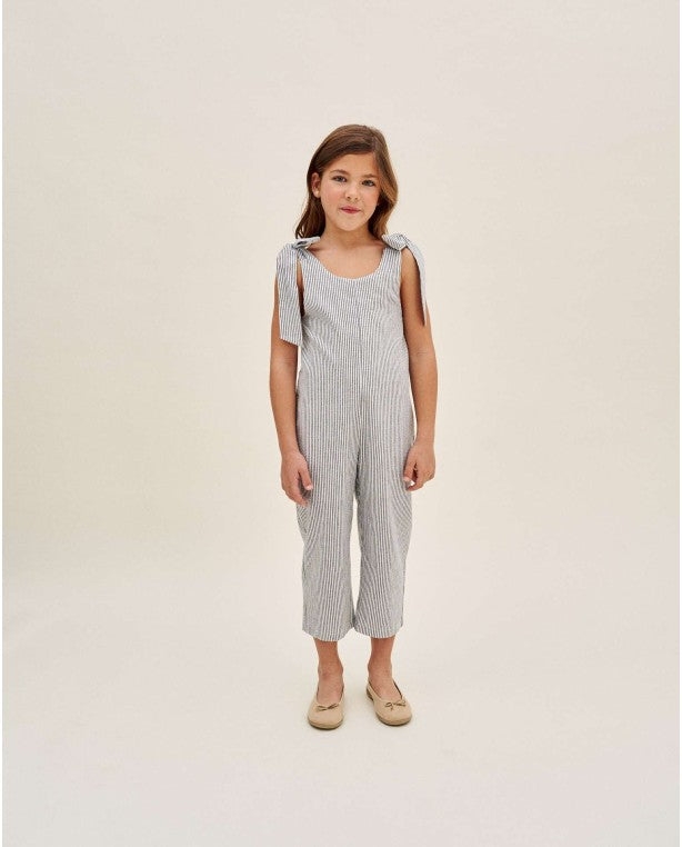 Shimmery Stripes Jumpsuit