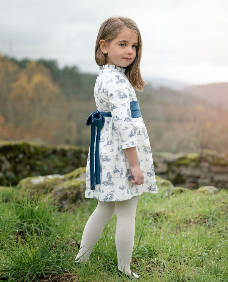 Toile Blue Print Girl Dress