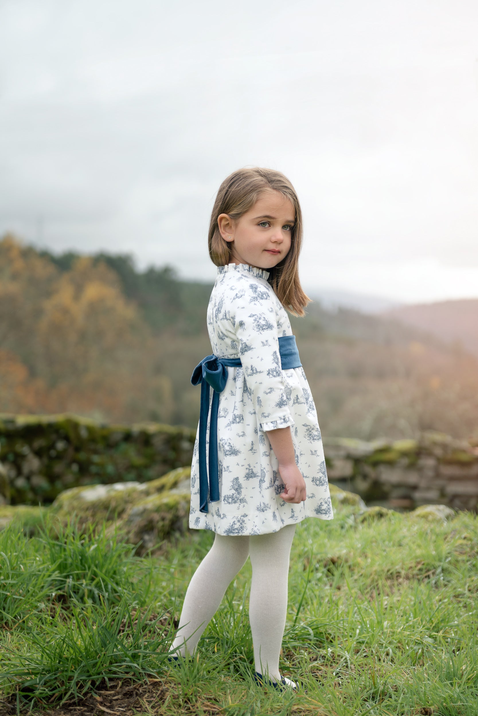 Toile Blue Print Girl Dress