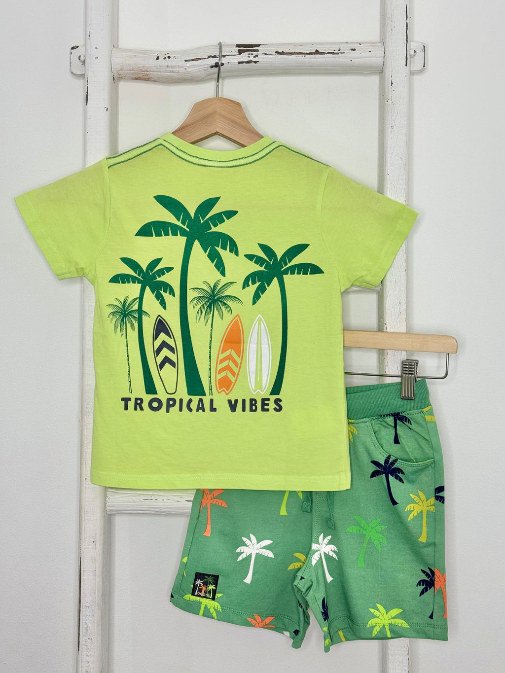 Palm Trees Set
