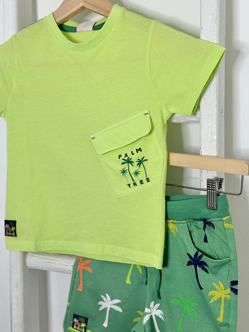 Palm Trees Set
