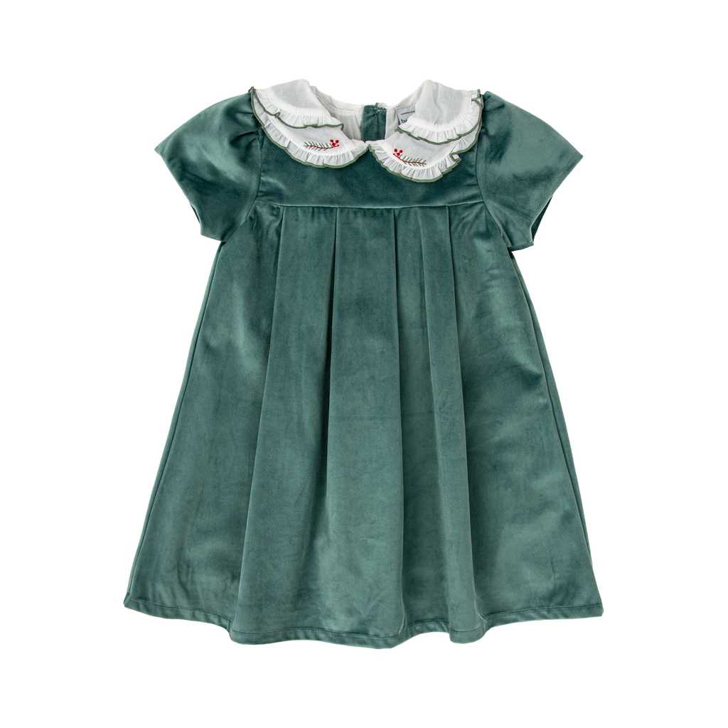 Sage Velvet Dress