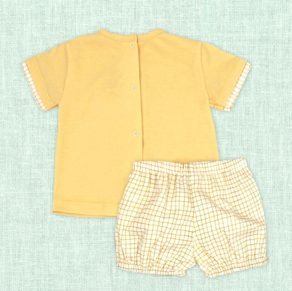 Square Yellow Set