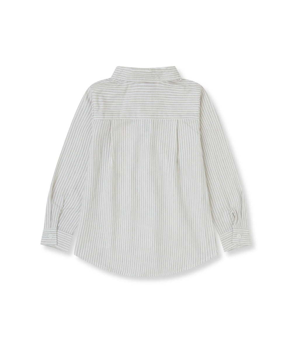 Classic Button Down Shirt