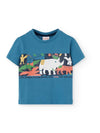 Elephant set