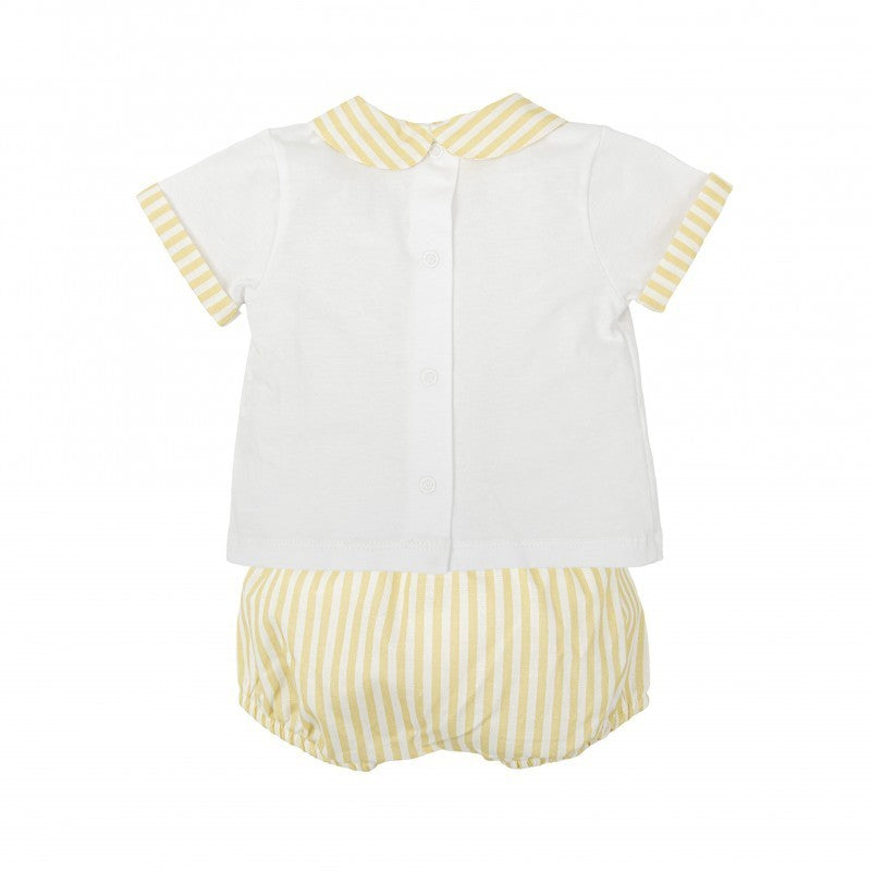 Yellow Stripe Set