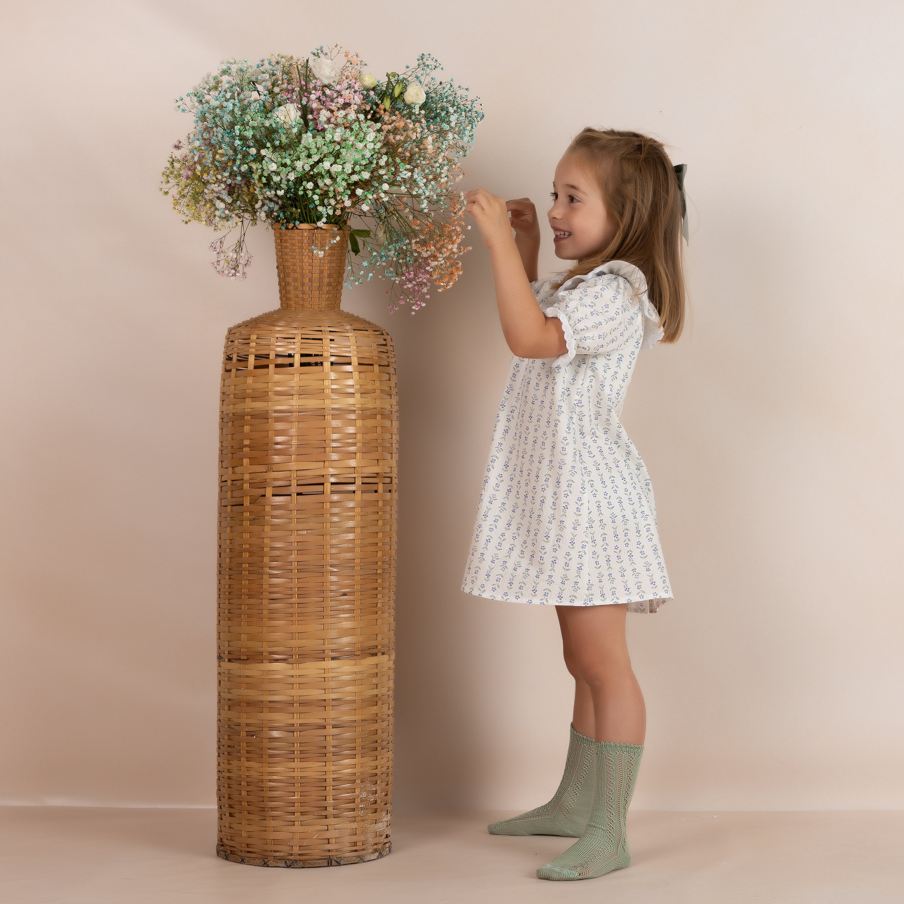 WildFlower Collar Dress