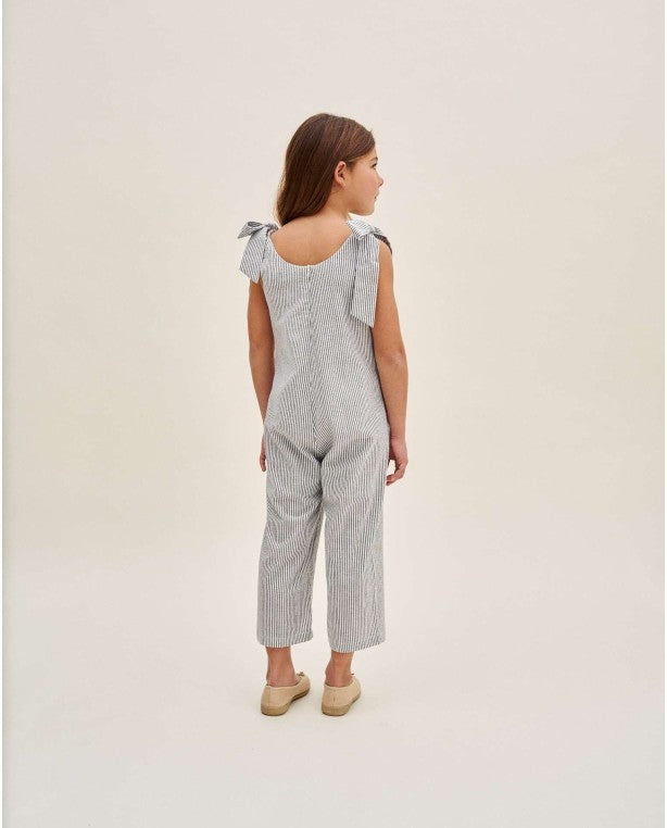 Shimmery Stripes Jumpsuit