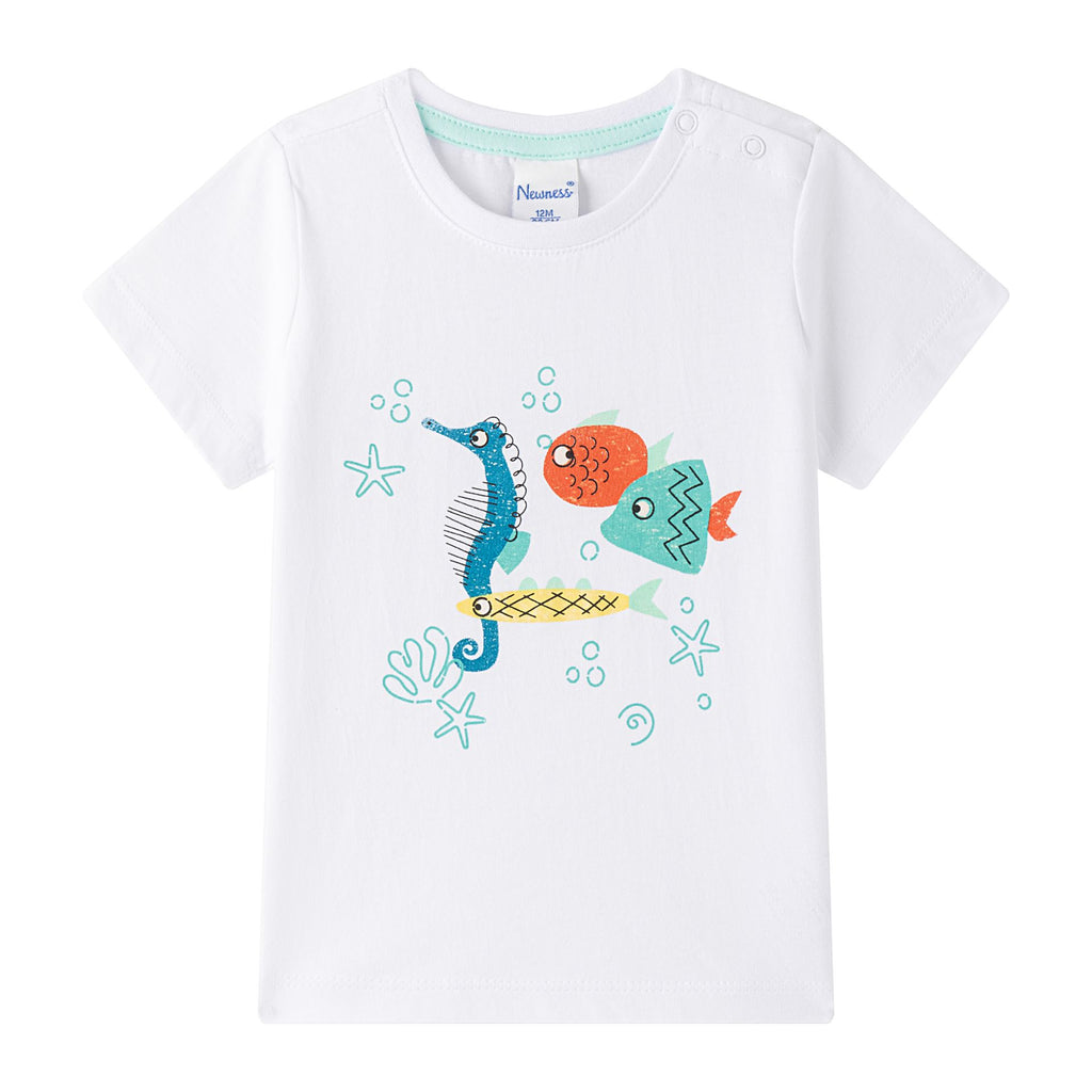 Under the Sea Set