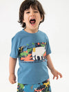 Elephant set