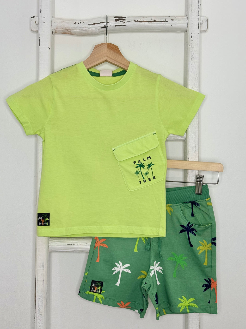 Palm Trees Set