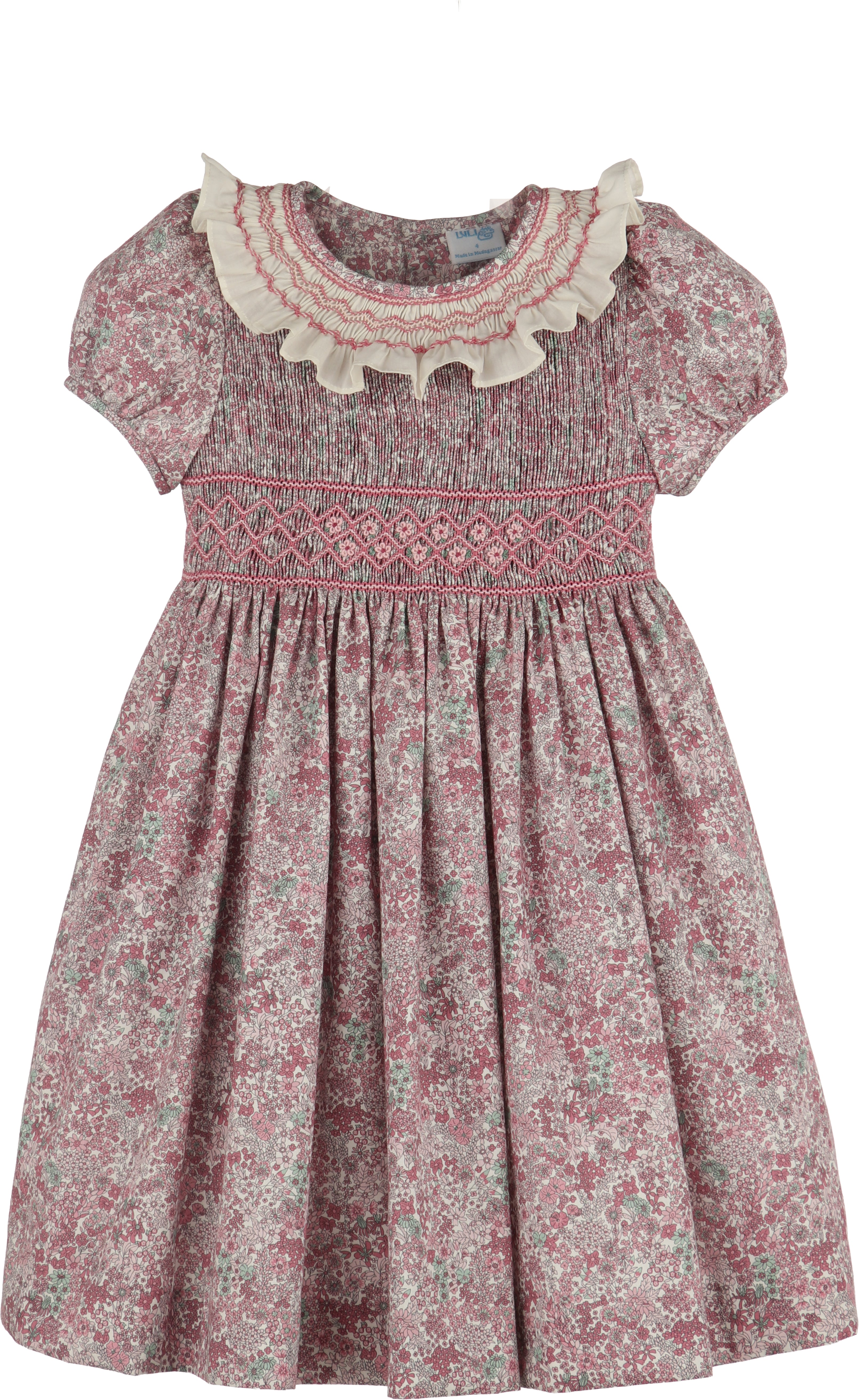 Fall Bloom Pink Dress