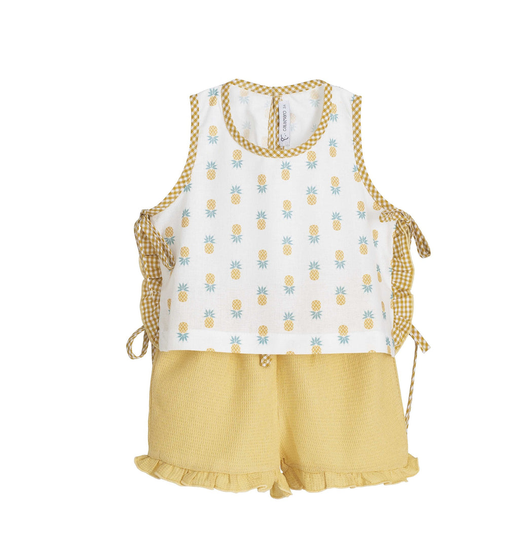Pineapple Set