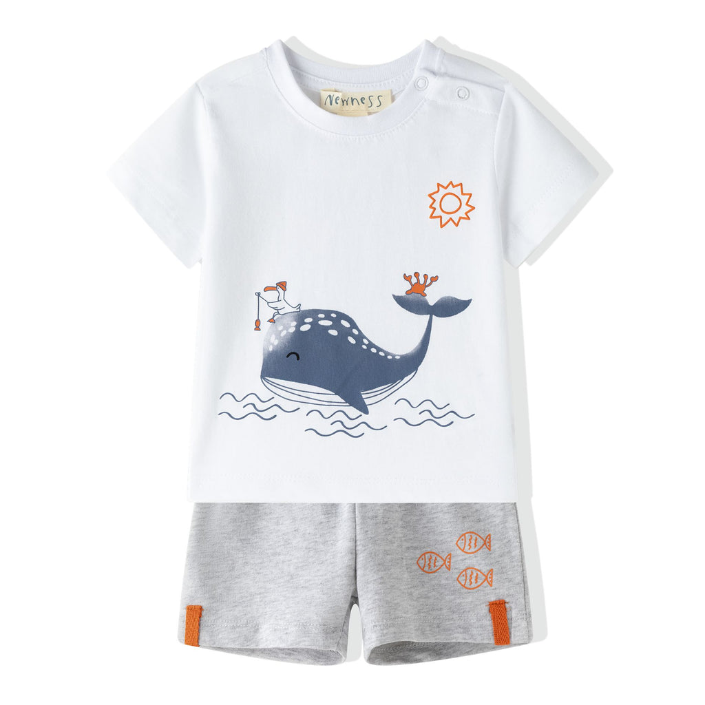 Whale Set