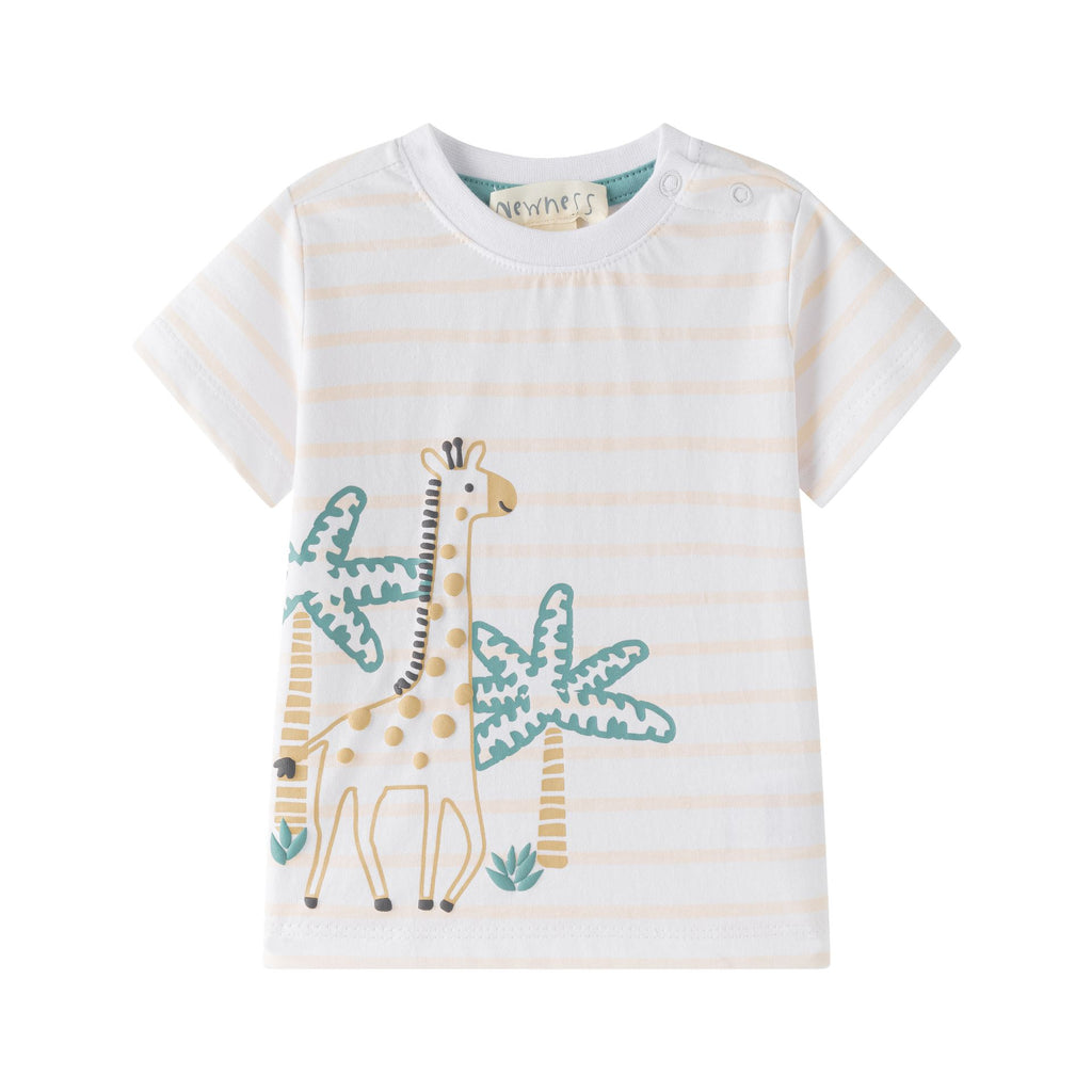 Safari Giraffe Set